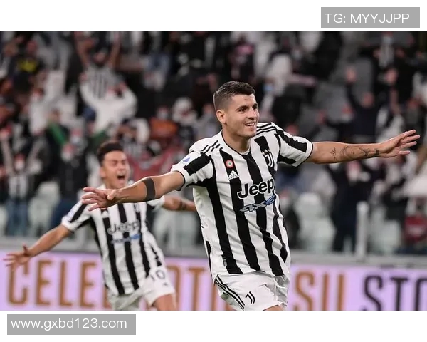 意甲足球明星卡片全景展示与收藏指南