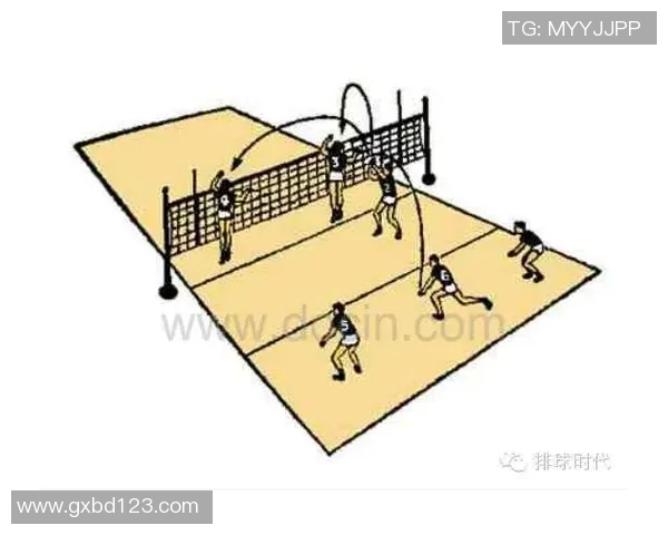 成都排球队中路突破的战术解析与未来发展展望