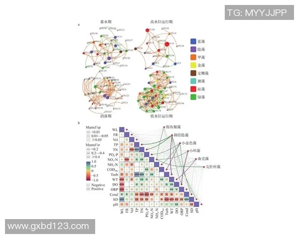 武汉足球队在选拔赛中的速度优势分析与表现点评